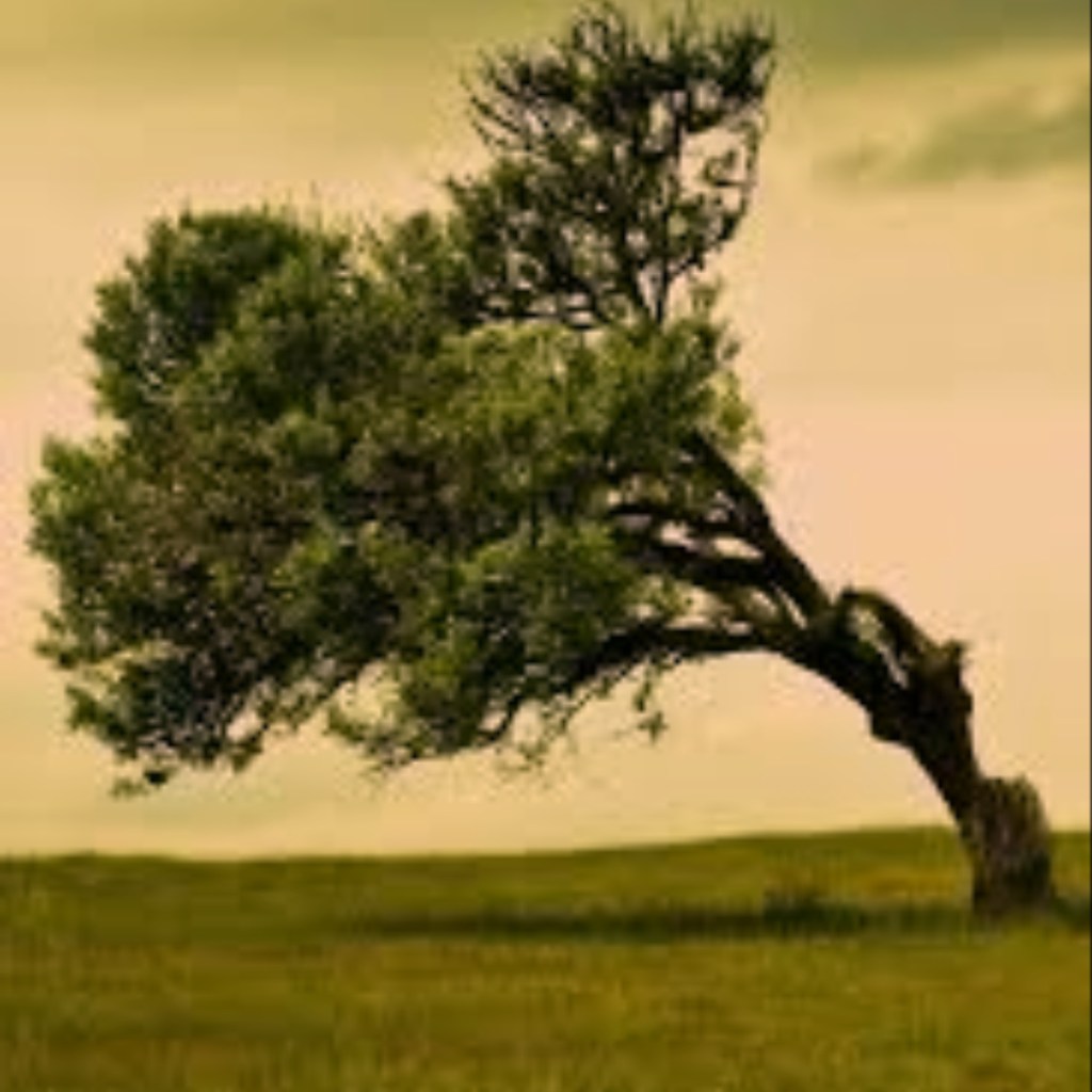 Bend without Breaking