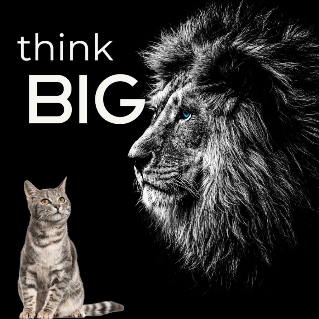 Think Big