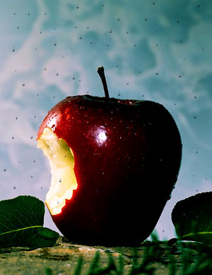 The T’s Have&nbsp;it