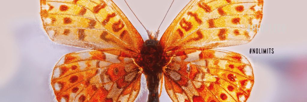 Taking Off The Limits