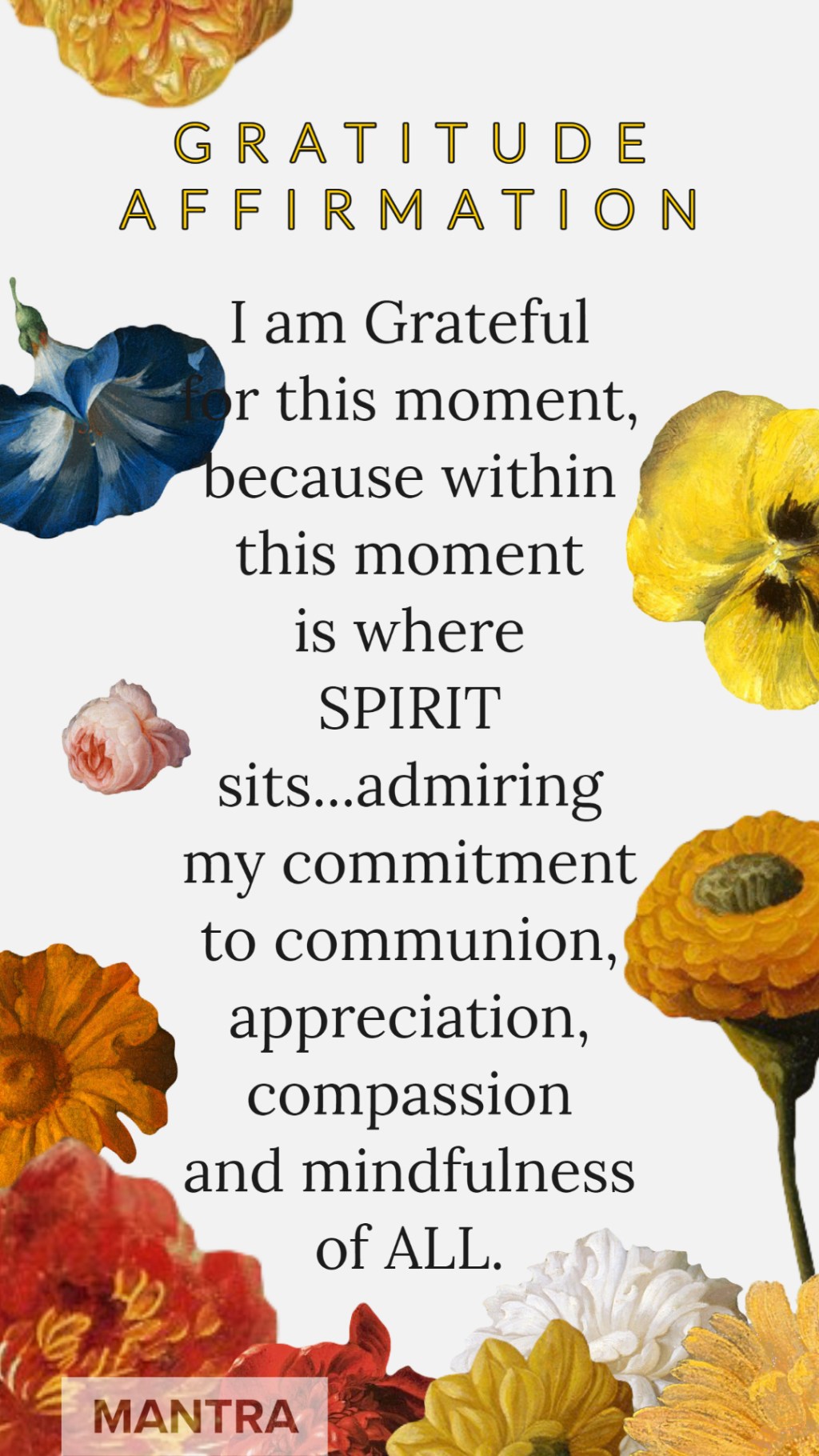 Gratitude Affirmation