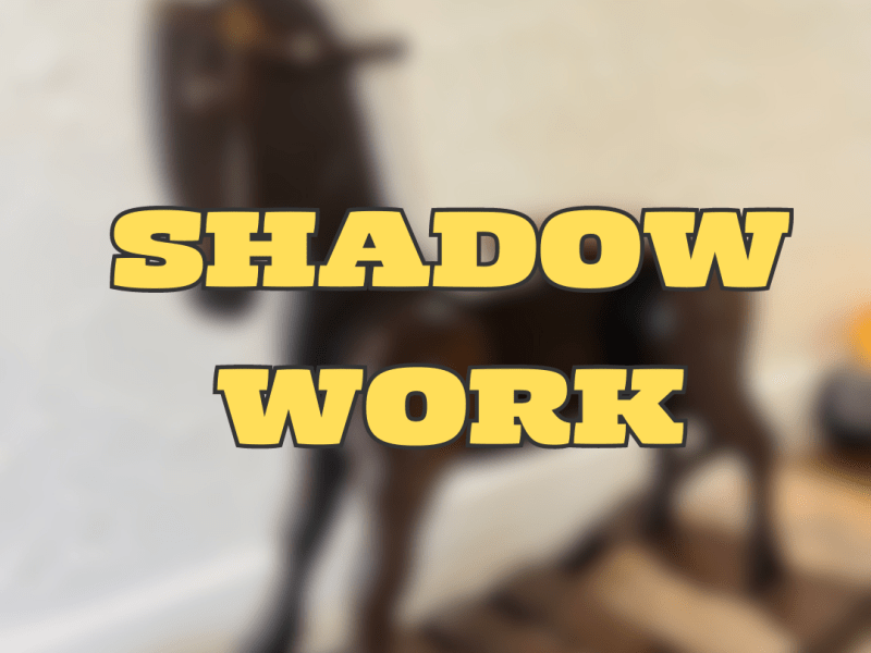 Shadow Work