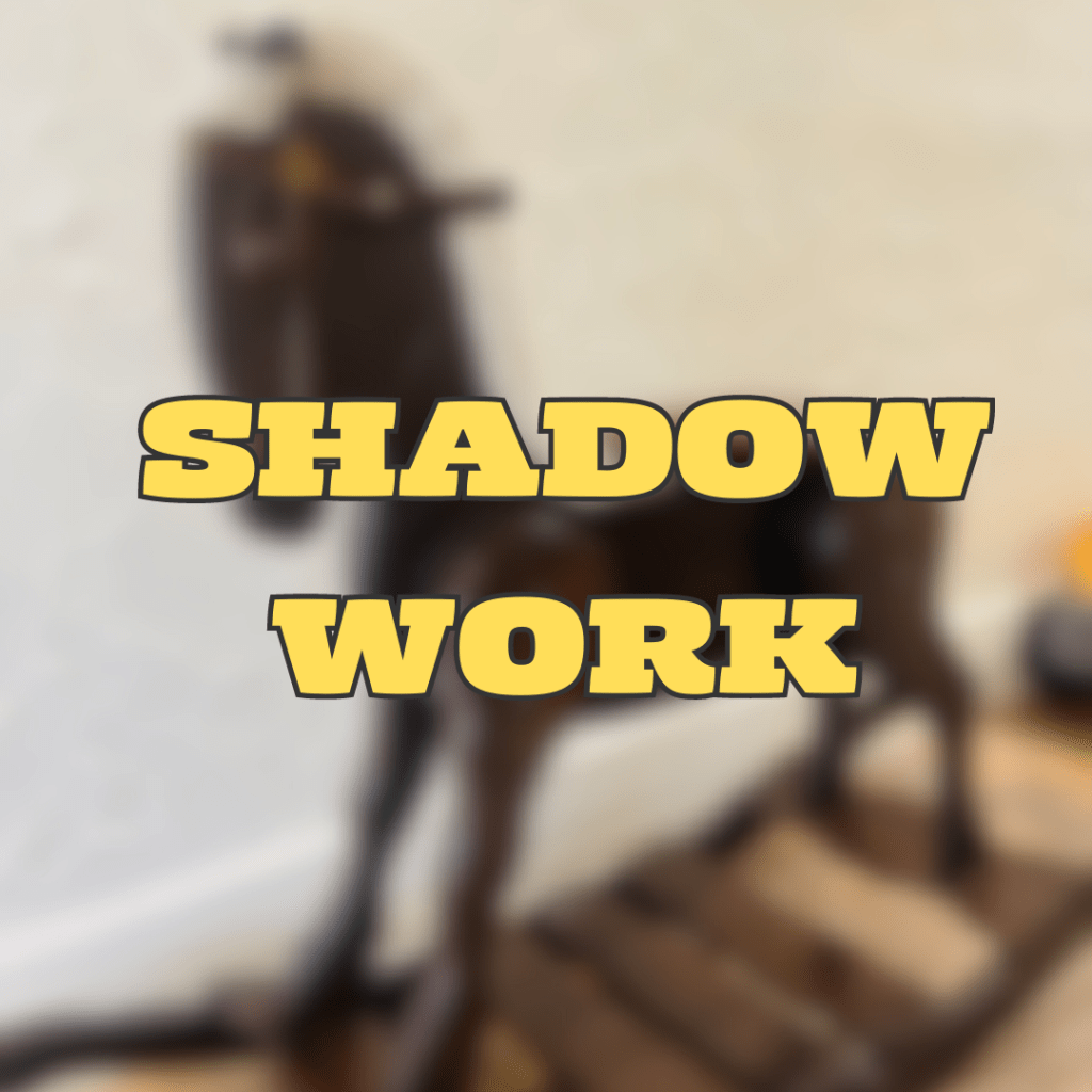Shadow Work
